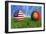 USA-Portugal-mhristov-Framed Premium Giclee Print