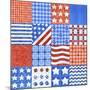 USA Quilt-Geraldine Aikman-Mounted Giclee Print