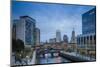 USA, Rhode Island, Providence, city skyline from Waterplace Park at dusk-Walter Bibikow-Mounted Photographic Print