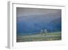 Usa, Rockie Mountains, National Park-Regula Heeb-Zweifel-Framed Photographic Print