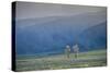 Usa, Rockie Mountains, National Park-Regula Heeb-Zweifel-Stretched Canvas