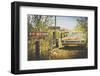 Usa, Route 66, Details of an Old Rugged Coca Cola Fridge and Car, Vintage Processing-Francesco Riccardo Iacomino-Framed Photographic Print