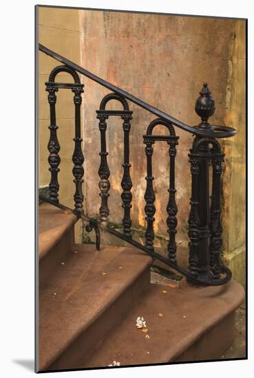 USA, Savannah, Georgia. Home in the Historic District with wrought iron rail.-Joanne Wells-Mounted Photographic Print