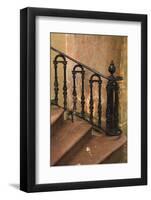 USA, Savannah, Georgia. Home in the Historic District with wrought iron rail.-Joanne Wells-Framed Photographic Print