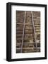 USA, Savannah, Georgia. Steep historic steps along river street.-Joanne Wells-Framed Photographic Print