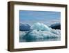 USA, SE Alaska, Inside Passage, Tracy Arm.-Cindy Miller Hopkins-Framed Photographic Print