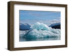 USA, SE Alaska, Inside Passage, Tracy Arm.-Cindy Miller Hopkins-Framed Photographic Print