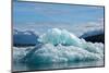 USA, SE Alaska, Inside Passage, Tracy Arm.-Cindy Miller Hopkins-Mounted Photographic Print