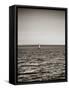 USA, Seattle, sailboat in Elli-Savanah Plank-Framed Stretched Canvas