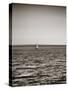 USA, Seattle, sailboat in Elli-Savanah Plank-Stretched Canvas