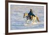 USA, Shell, Wyoming. Hideout Ranch cowgirl riding her horse in the snow. (PR,MR)-Darrell Gulin-Framed Photographic Print