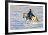 USA, Shell, Wyoming. Hideout Ranch cowgirl riding her horse in the snow. (PR,MR)-Darrell Gulin-Framed Photographic Print