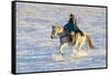 USA, Shell, Wyoming. Hideout Ranch cowgirl riding her horse in the snow. (PR,MR)-Darrell Gulin-Framed Stretched Canvas