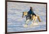 USA, Shell, Wyoming. Hideout Ranch cowgirl riding her horse in the snow. (PR,MR)-Darrell Gulin-Framed Photographic Print