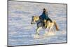 USA, Shell, Wyoming. Hideout Ranch cowgirl riding her horse in the snow. (PR,MR)-Darrell Gulin-Mounted Photographic Print