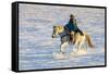USA, Shell, Wyoming. Hideout Ranch cowgirl riding her horse in the snow. (PR,MR)-Darrell Gulin-Framed Stretched Canvas