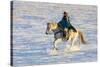 USA, Shell, Wyoming. Hideout Ranch cowgirl riding her horse in the snow. (PR,MR)-Darrell Gulin-Stretched Canvas