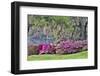 USA, South Carolina, Charleston, Calm Among the Flowers-Hollice Looney-Framed Photographic Print