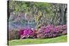 USA, South Carolina, Charleston, Calm Among the Flowers-Hollice Looney-Stretched Canvas