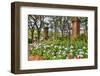 Usa, South Carolina, Charleston-Hollice Looney-Framed Photographic Print