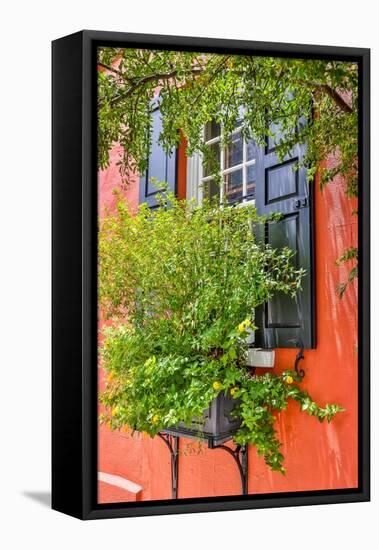 Usa, South Carolina, Charleston-Hollice Looney-Framed Stretched Canvas