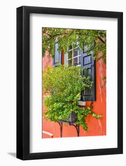 Usa, South Carolina, Charleston-Hollice Looney-Framed Photographic Print