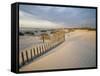 USA, South Carolina, Huntington Beach State Park-Zandria Muench Beraldo-Framed Stretched Canvas