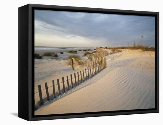 USA, South Carolina, Huntington Beach State Park-Zandria Muench Beraldo-Framed Stretched Canvas