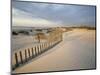 USA, South Carolina, Huntington Beach State Park-Zandria Muench Beraldo-Mounted Photographic Print