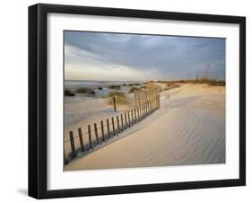 USA, South Carolina, Huntington Beach State Park-Zandria Muench Beraldo-Framed Photographic Print