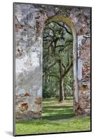 USA, South Carolina, Yemassee, Old Sheldon Church Ruins-Hollice Looney-Mounted Photographic Print