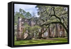 USA, South Carolina, Yemassee, Old Sheldon Church Ruins-Hollice Looney-Framed Stretched Canvas
