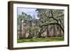 USA, South Carolina, Yemassee, Old Sheldon Church Ruins-Hollice Looney-Framed Photographic Print