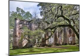 USA, South Carolina, Yemassee, Old Sheldon Church Ruins-Hollice Looney-Mounted Photographic Print