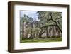 USA, South Carolina, Yemassee, Old Sheldon Church Ruins-Hollice Looney-Framed Photographic Print
