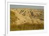 USA, South Dakota, Badlands NP. Grass and Eroded Formations-Cathy & Gordon Illg-Framed Photographic Print