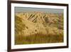 USA, South Dakota, Badlands NP. Grass and Eroded Formations-Cathy & Gordon Illg-Framed Photographic Print