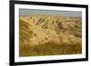USA, South Dakota, Badlands NP. Grass and Eroded Formations-Cathy & Gordon Illg-Framed Photographic Print