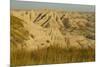 USA, South Dakota, Badlands NP. Grass and Eroded Formations-Cathy & Gordon Illg-Mounted Photographic Print