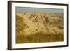 USA, South Dakota, Badlands NP. Grass and Eroded Formations-Cathy & Gordon Illg-Framed Photographic Print