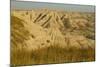 USA, South Dakota, Badlands NP. Grass and Eroded Formations-Cathy & Gordon Illg-Mounted Photographic Print