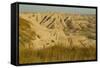 USA, South Dakota, Badlands NP. Grass and Eroded Formations-Cathy & Gordon Illg-Framed Stretched Canvas