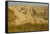 USA, South Dakota, Badlands NP. Grass and Eroded Formations-Cathy & Gordon Illg-Framed Stretched Canvas