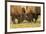 USA, South Dakota, Custer State Park. Bison bulls fighting.-Jaynes Gallery-Framed Photographic Print