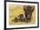 USA, South Dakota, Custer State Park. Bison cow and calf.-Jaynes Gallery-Framed Photographic Print