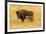 USA, South Dakota, Custer State Park. Bison cow and calf.-Jaynes Gallery-Framed Photographic Print