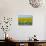 USA, South Dakota, Murdo. Sunflower field-Bernard Friel-Stretched Canvas displayed on a wall