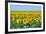 USA, South Dakota, Murdo. Sunflower field-Bernard Friel-Framed Photographic Print