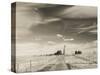 USA, South Dakota, Stamford, 1880 Town, Pioneer Village, Farm-Walter Bibikow-Stretched Canvas