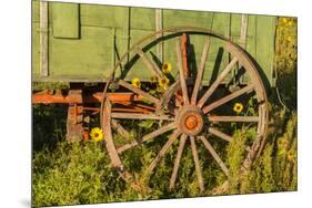 USA, South Dakota, Wild Horse Sanctuary. Close-up of Vintage Wagon-Cathy & Gordon Illg-Mounted Premium Photographic Print